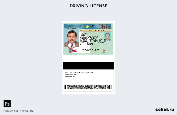скачать цифровую версию шаблона водительских прав США, Огайо